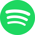 Spotify Podcasts Icon